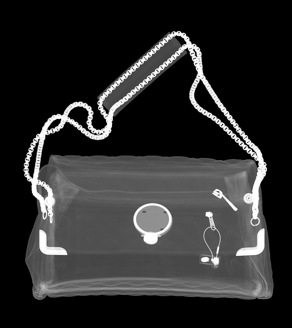 Fashion handbag, X-ray