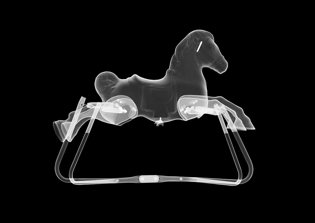 Rocking horse, X-ray