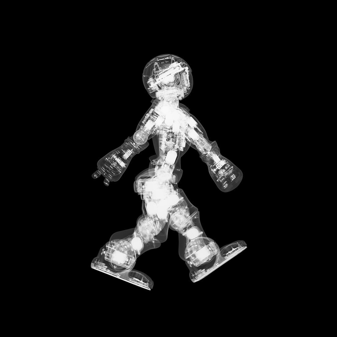 Walking robot, X-ray