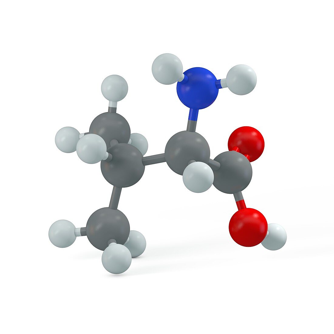 Valine molecule, illustration