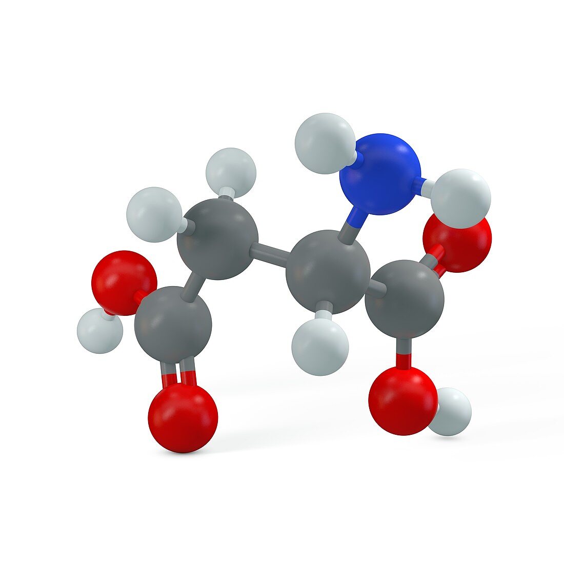 Aspartic acid molecule, illustration