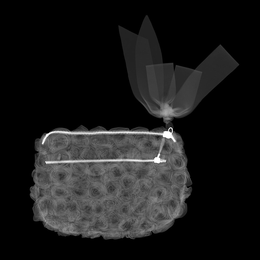 Clutch bag, X-ray