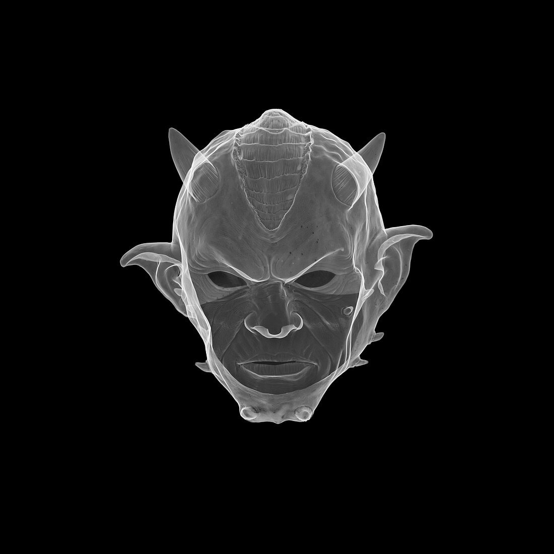 Devil mask, X-ray