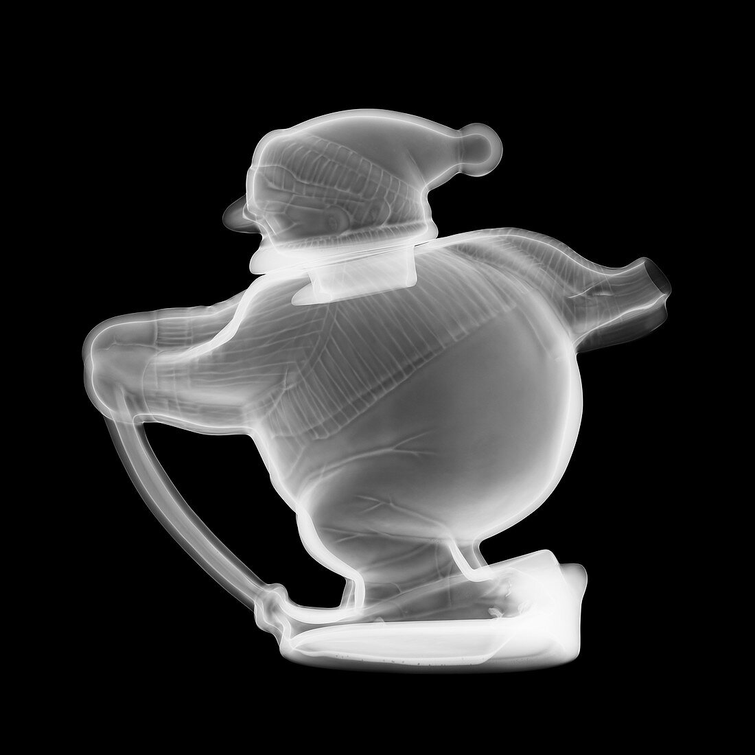 Ski snowman teapot, X-ray