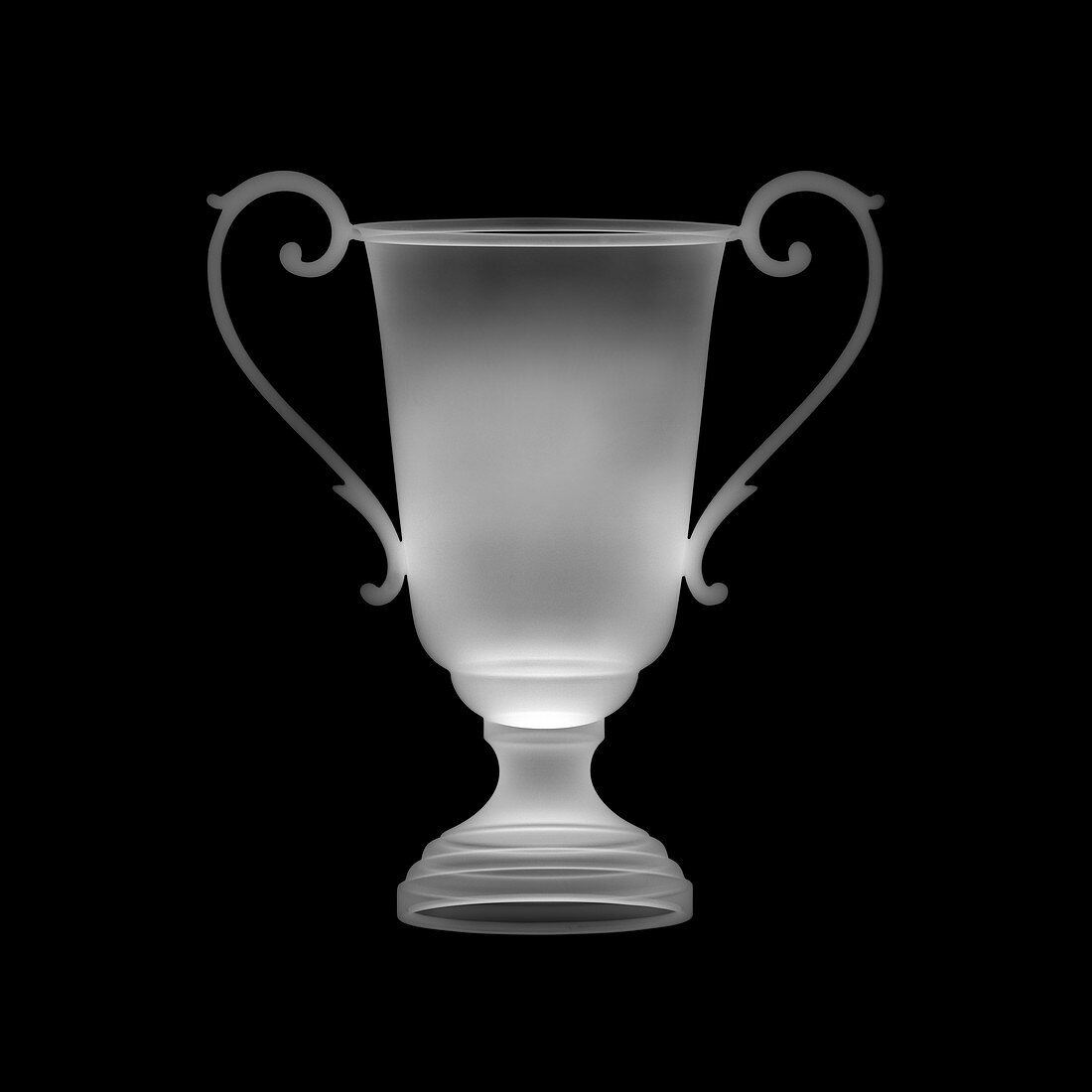 Trophy, X-ray