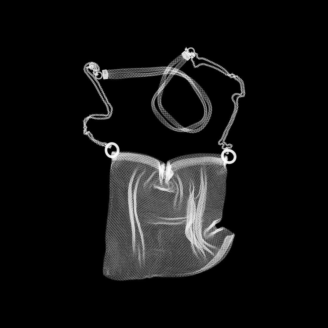 Shoulder bag, X-ray