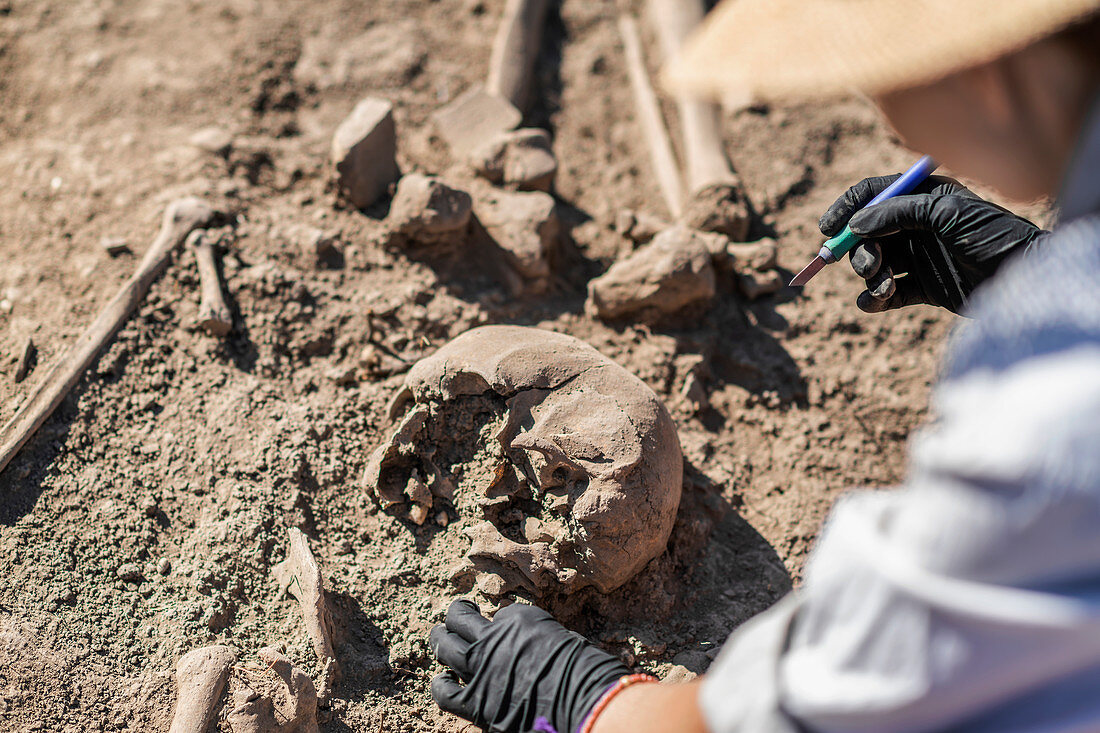 Archaeologist excavating skeleton