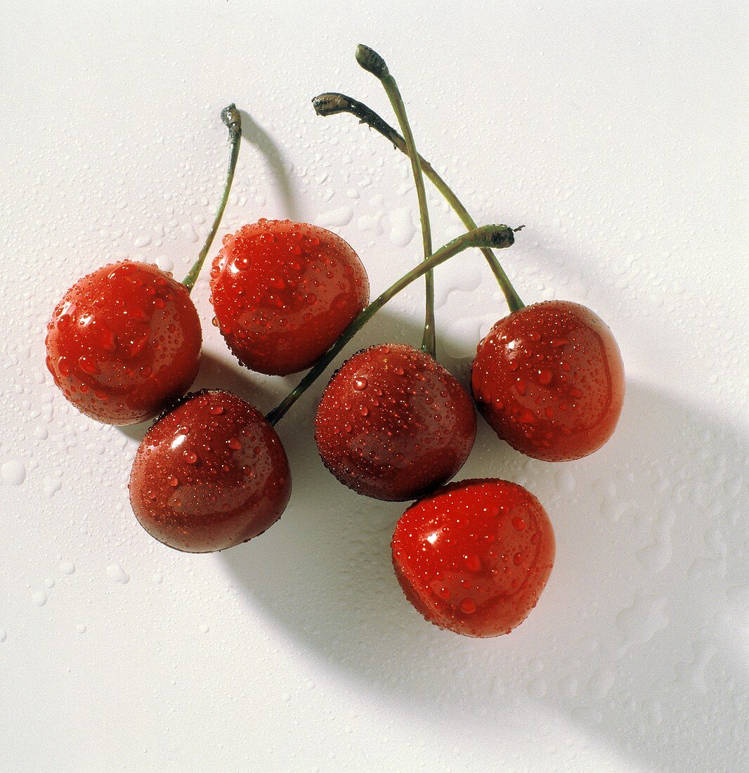 Fresh Red Cherries with Water Drops