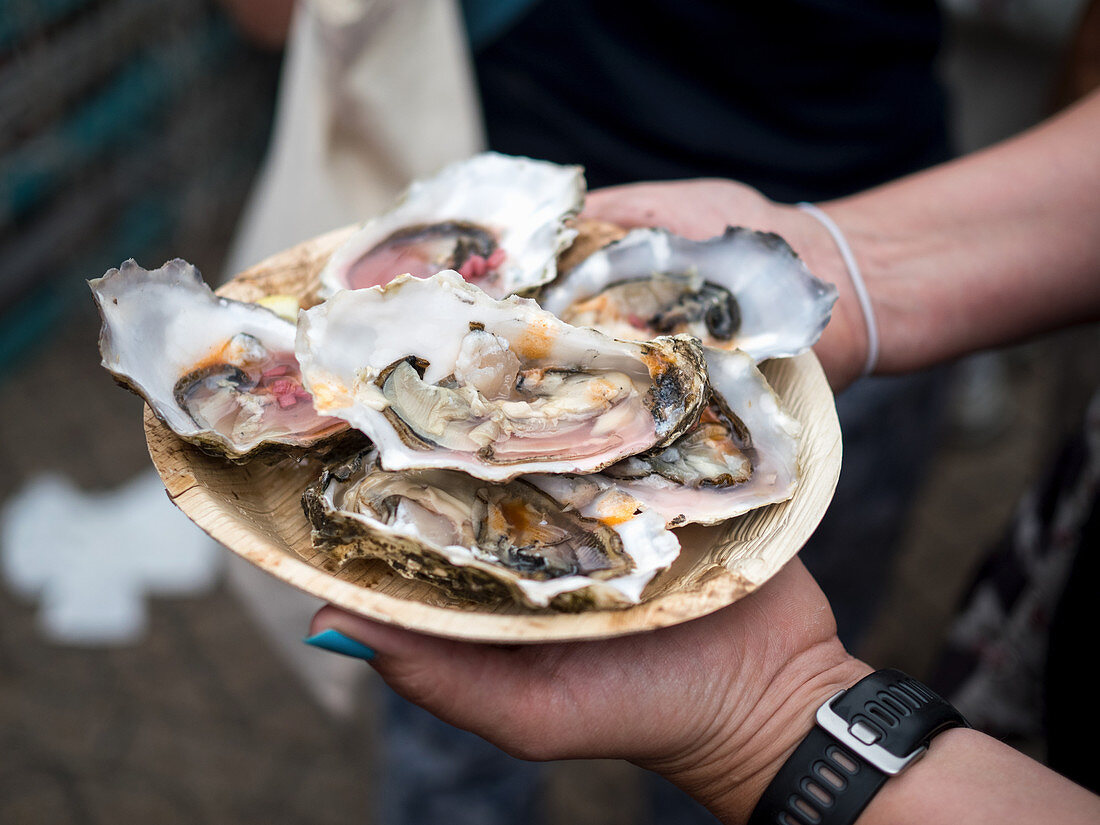 Hands holding a plate of fresh oysters