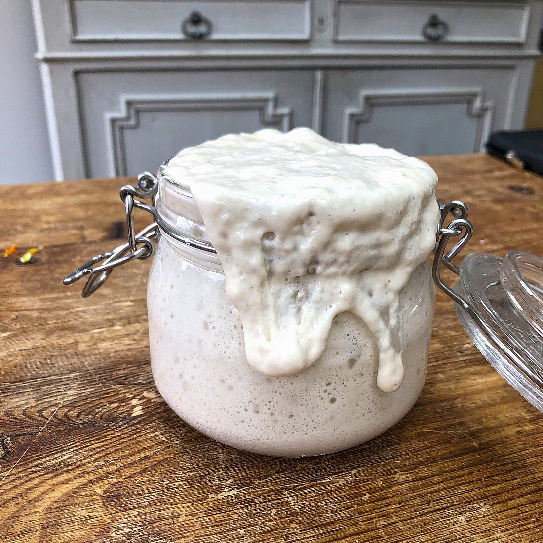 Sourdough starter