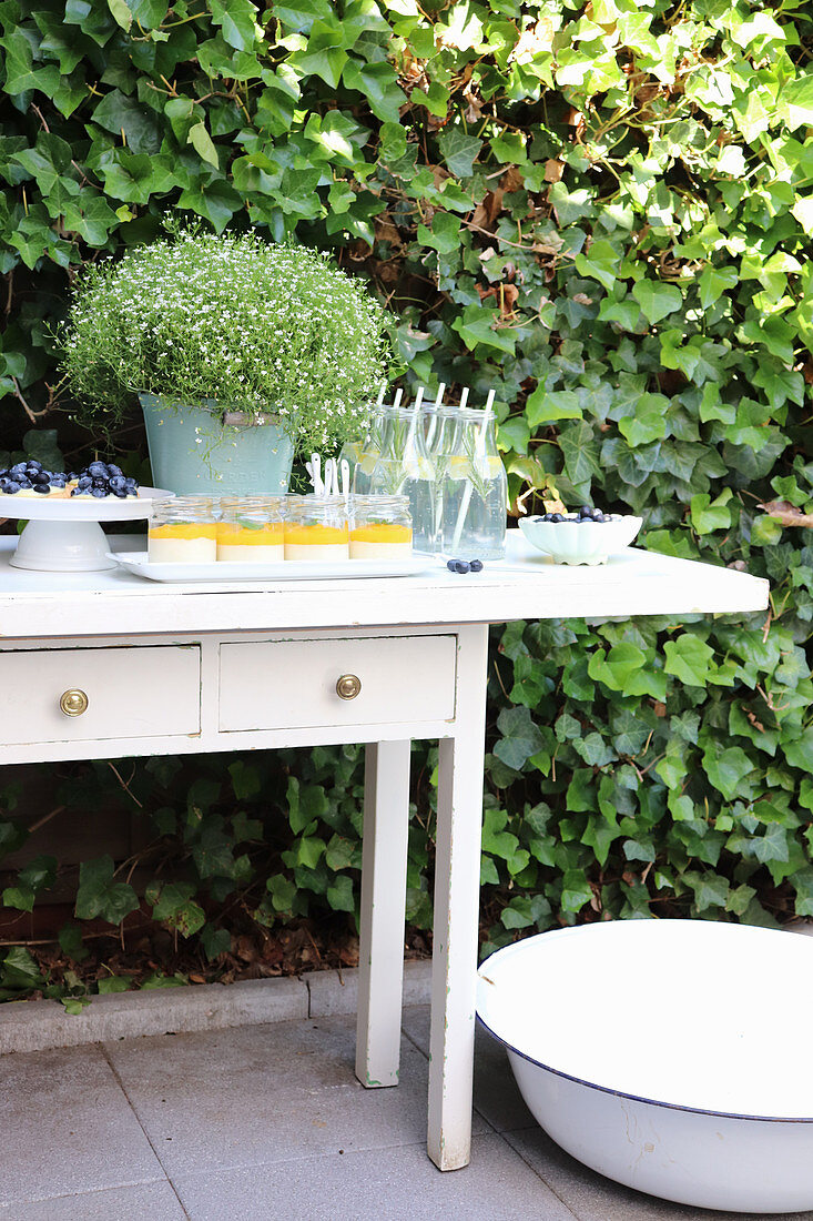 Potted gypsophila decorating table