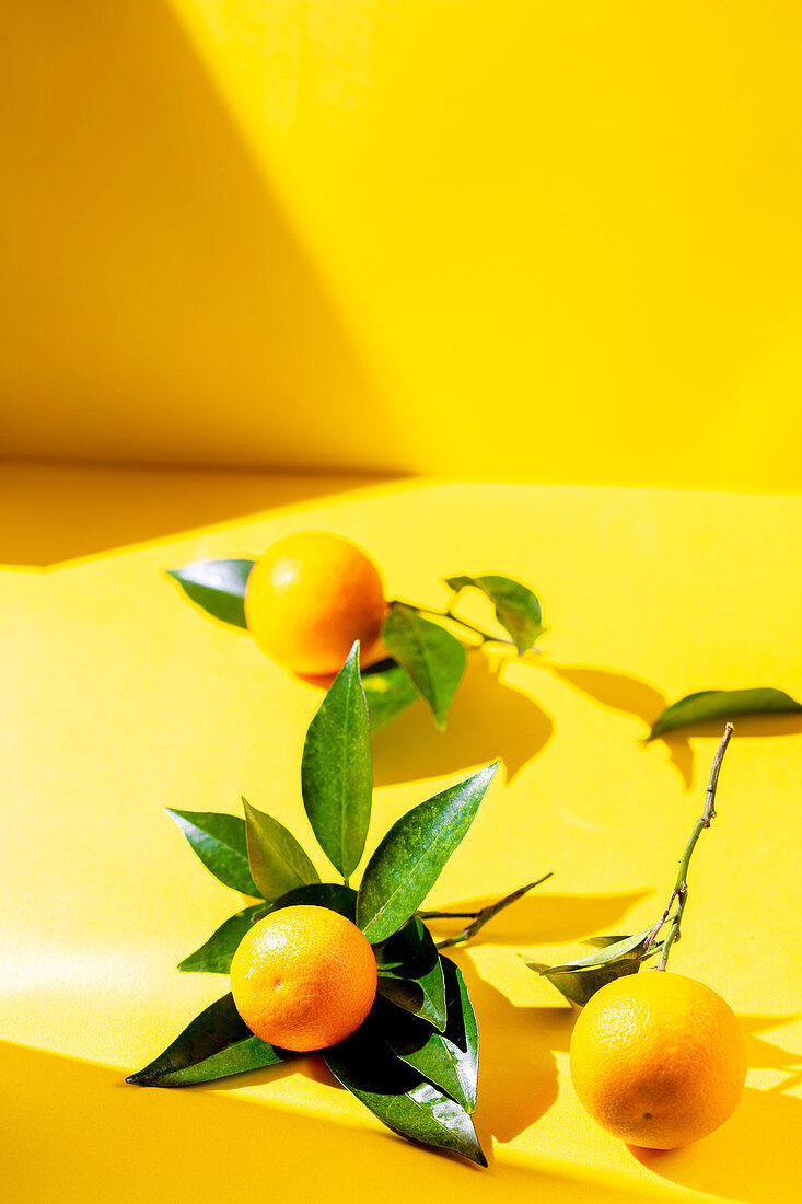 Fresh orange fruits with orange tree leaves on yellow background