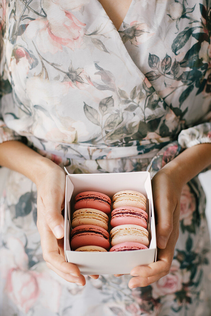 Hand made macarons on a modern light background