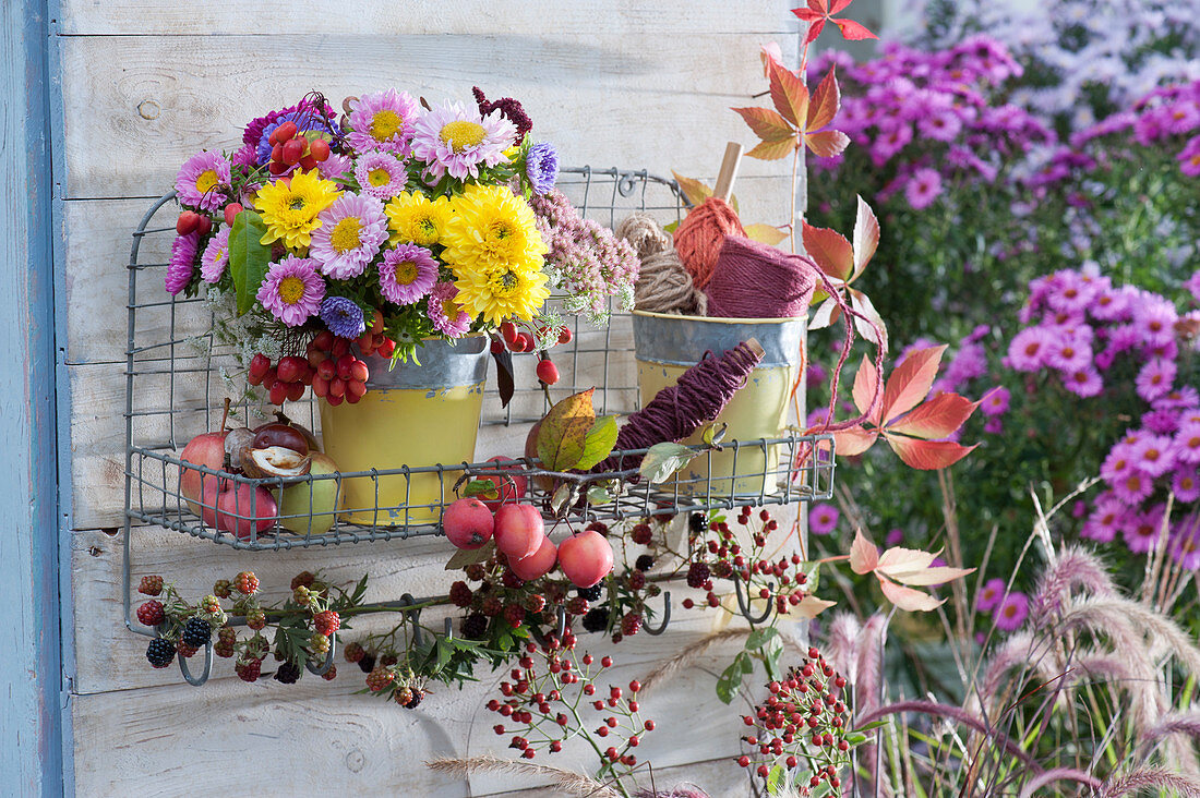 Autumn bouquet of chrysanthemums, summer asters, rose hips, stonecrop and ornamental apples on a wall rack, pot with twine, watering can, ornamental apples and blackberry branch