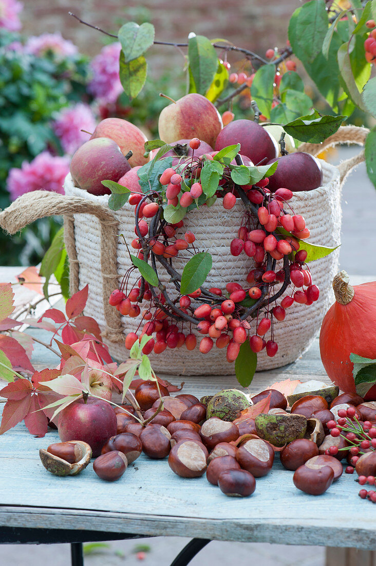 Ornamental wreath on a basket with freshly picked apples, chestnuts, pumpkin and wild wine as decoration