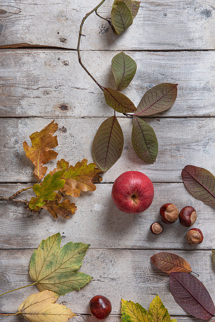 Herbststilleben mit Apfel, Kastanien und Blättern