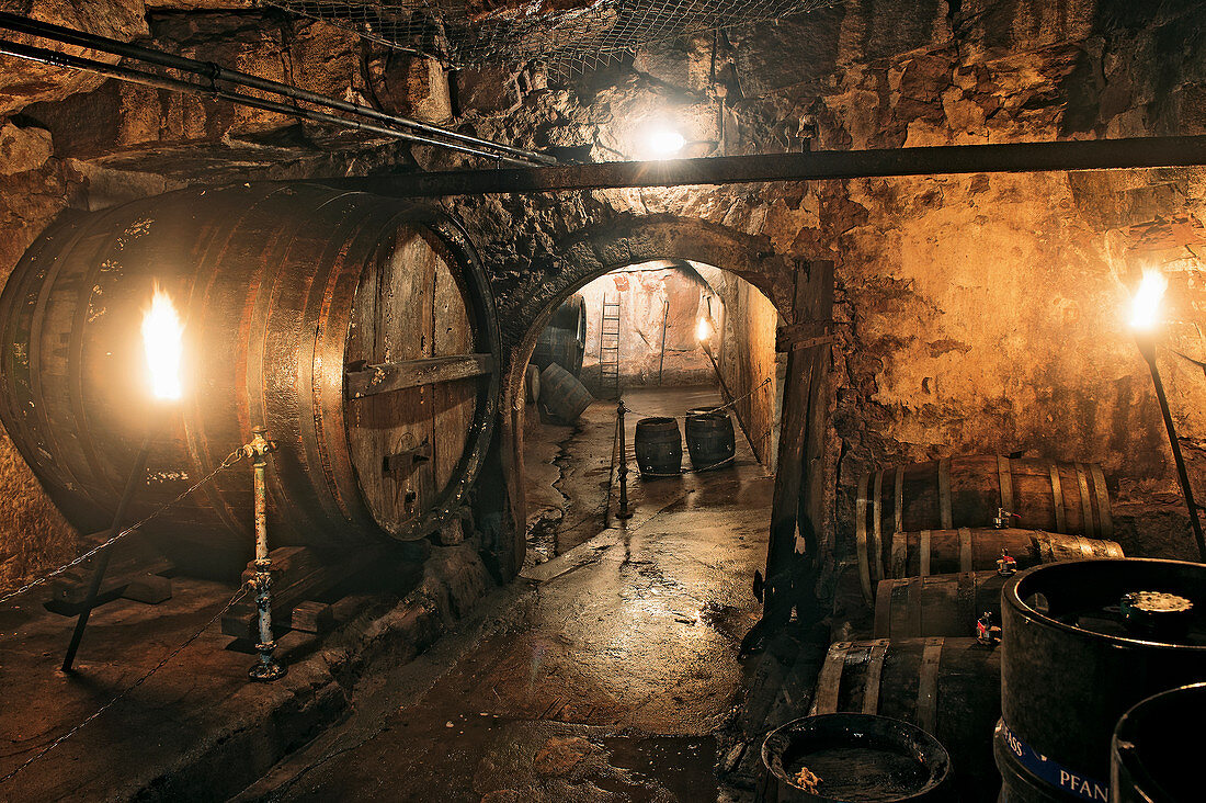 Beer barrels in an old beer cellar