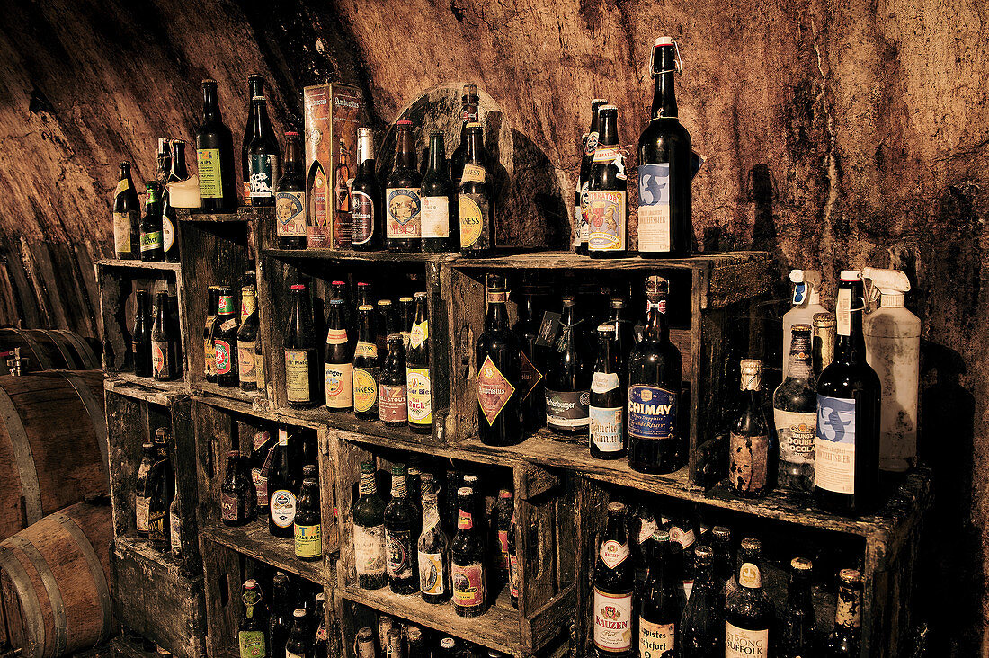 Verschiedene Sorten Craft Beer in Flaschen in Kellergewölbe