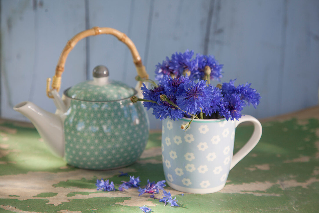 Cornflowers in a teacup