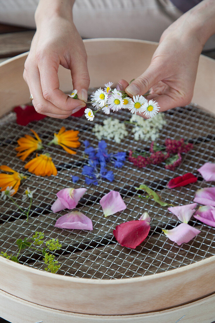 Edible flowers