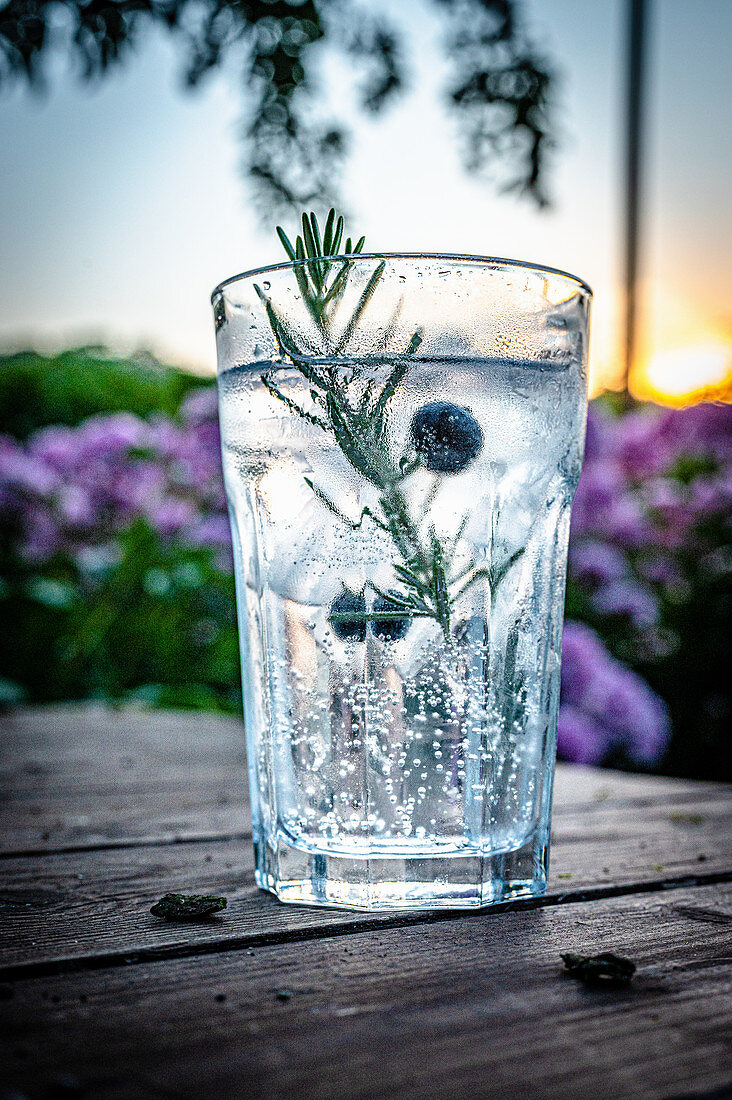 Gin Tonic mit Wacholderbeeren