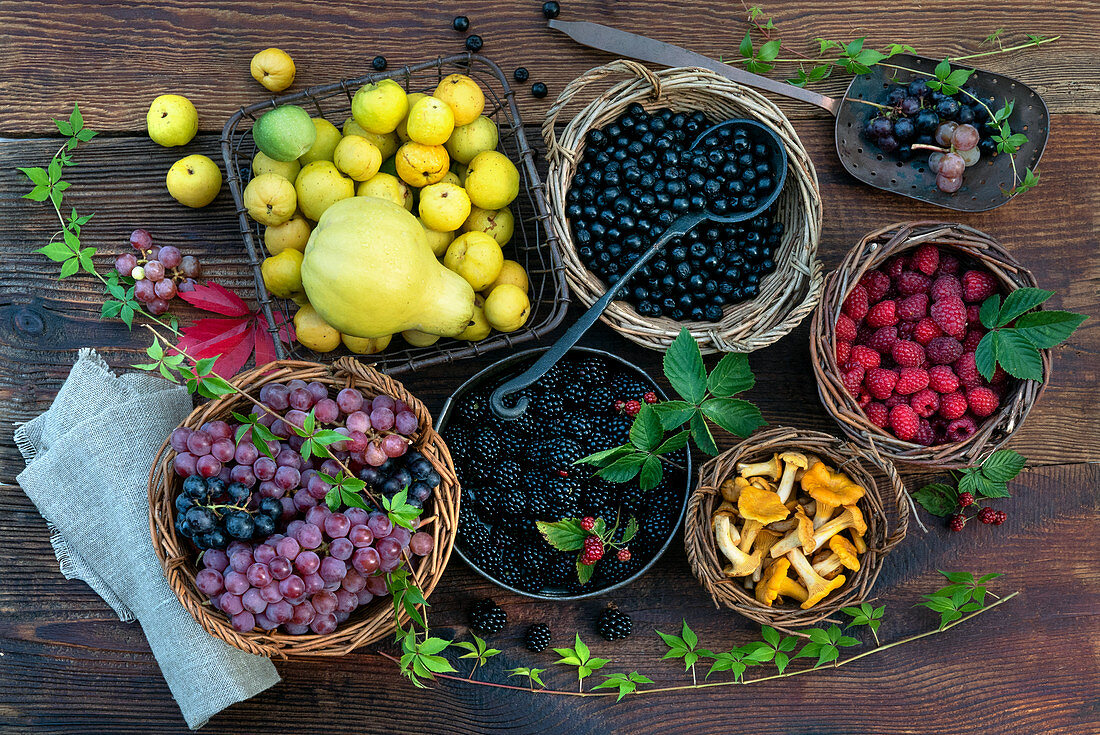 Stillleben mit Herbstfrüchten, Beeren und Pilzen