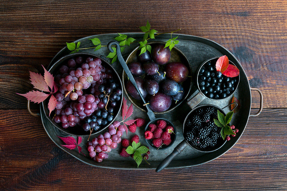 Purple Autmn fruits and berries