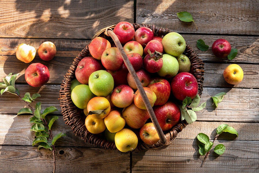 Verschiedene Äpfel in Weidenkorb auf Holztisch