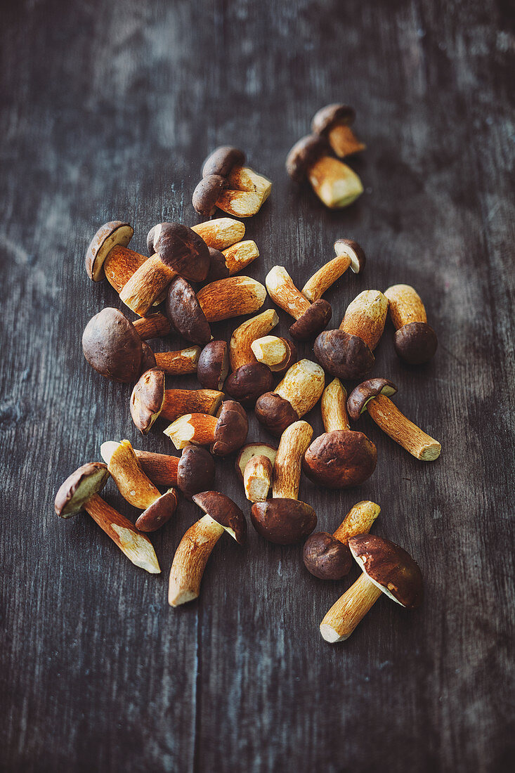 Fresh chestnut boletus (mushrooms)
