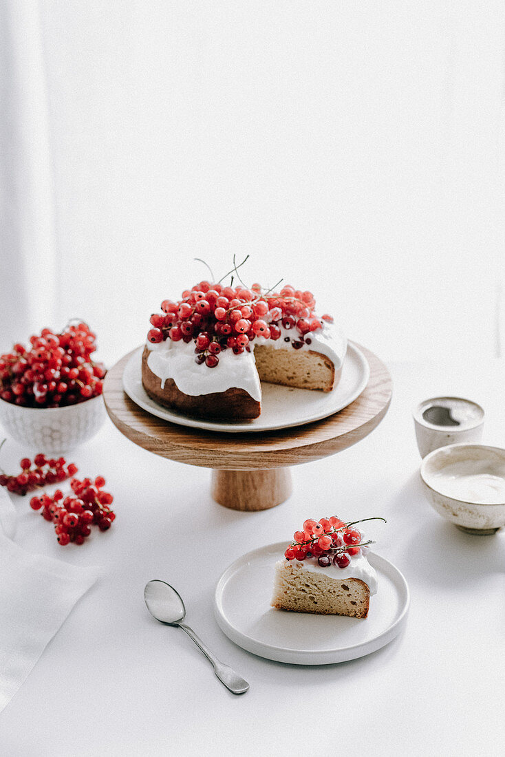 Biskuitkuchen mit Ricottacreme und roten Johannisbeeren