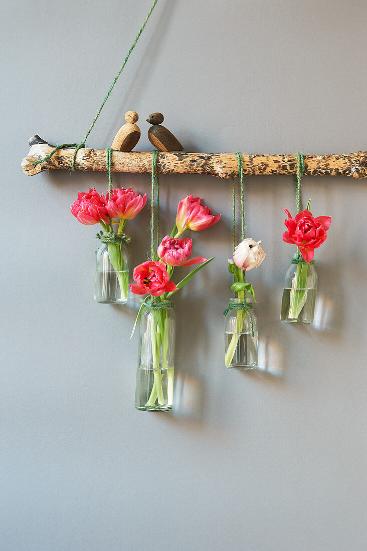 Arrangement of tulips in glass bottles hung from branch against wall