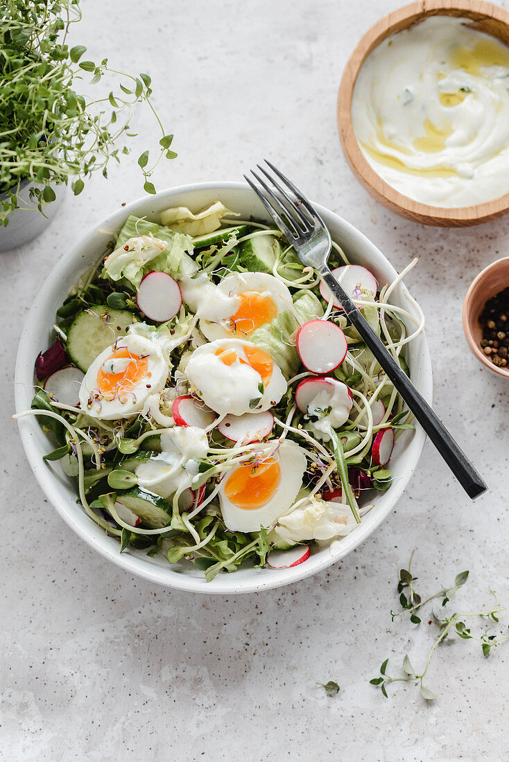Salad with cucumber, radish sprouts, eggs and yoghurt souce