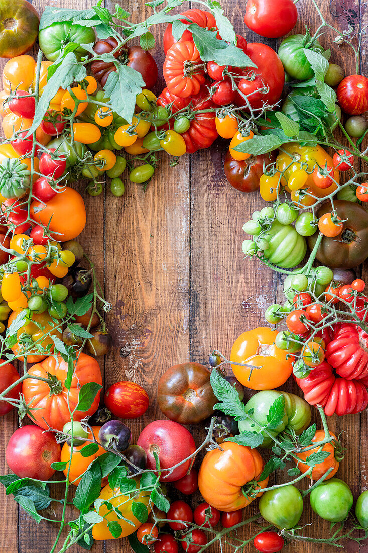 Colorful tomatoes, arranged in a circle