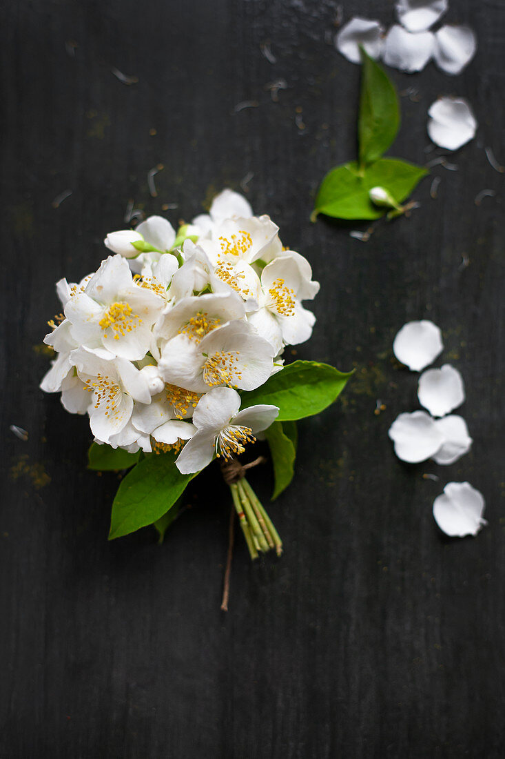 Posy of jasmine on black surface