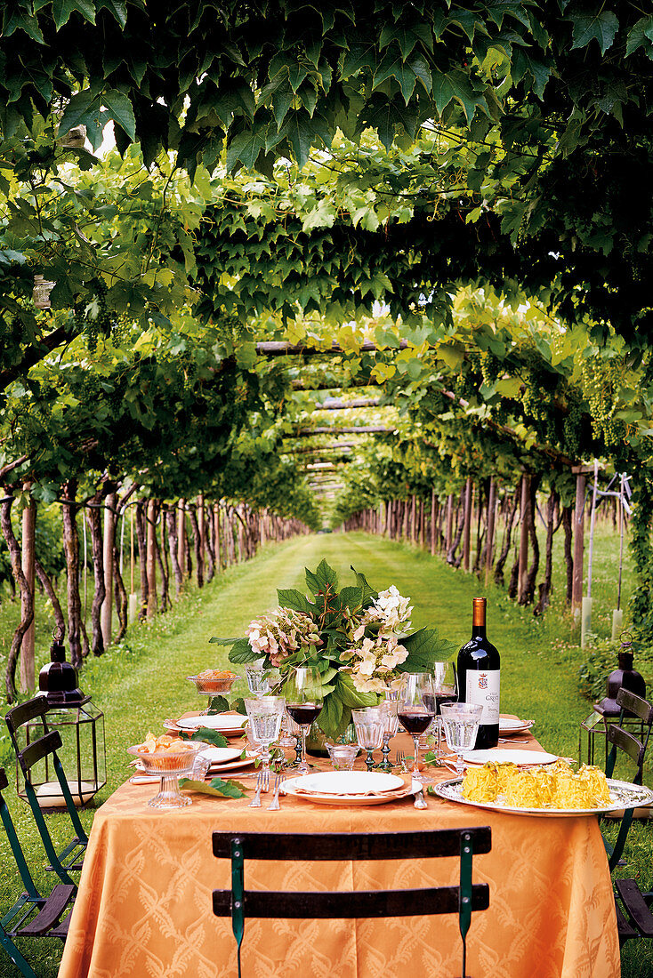 A Mediterranean laid table under grapevines