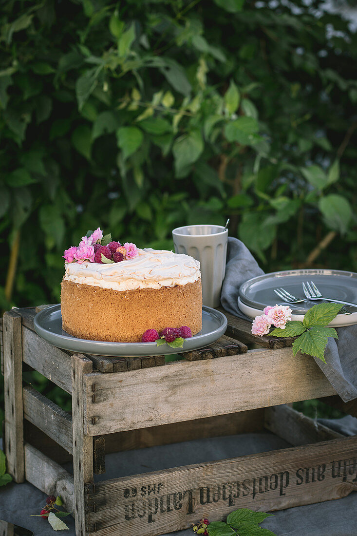 Raspberry cheesecake with meringue