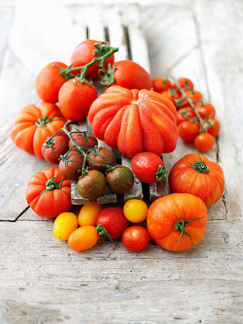 Verschiedene Tomatensorten auf Holzuntergrund