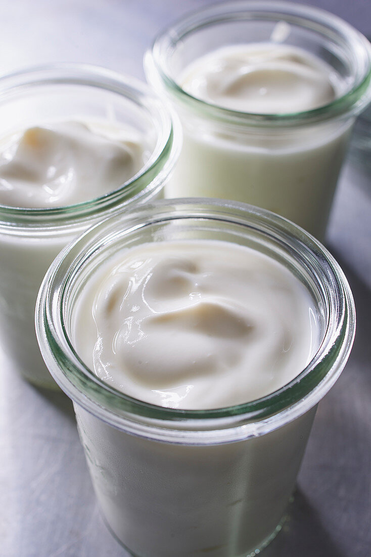 Joghurt in Gläsern