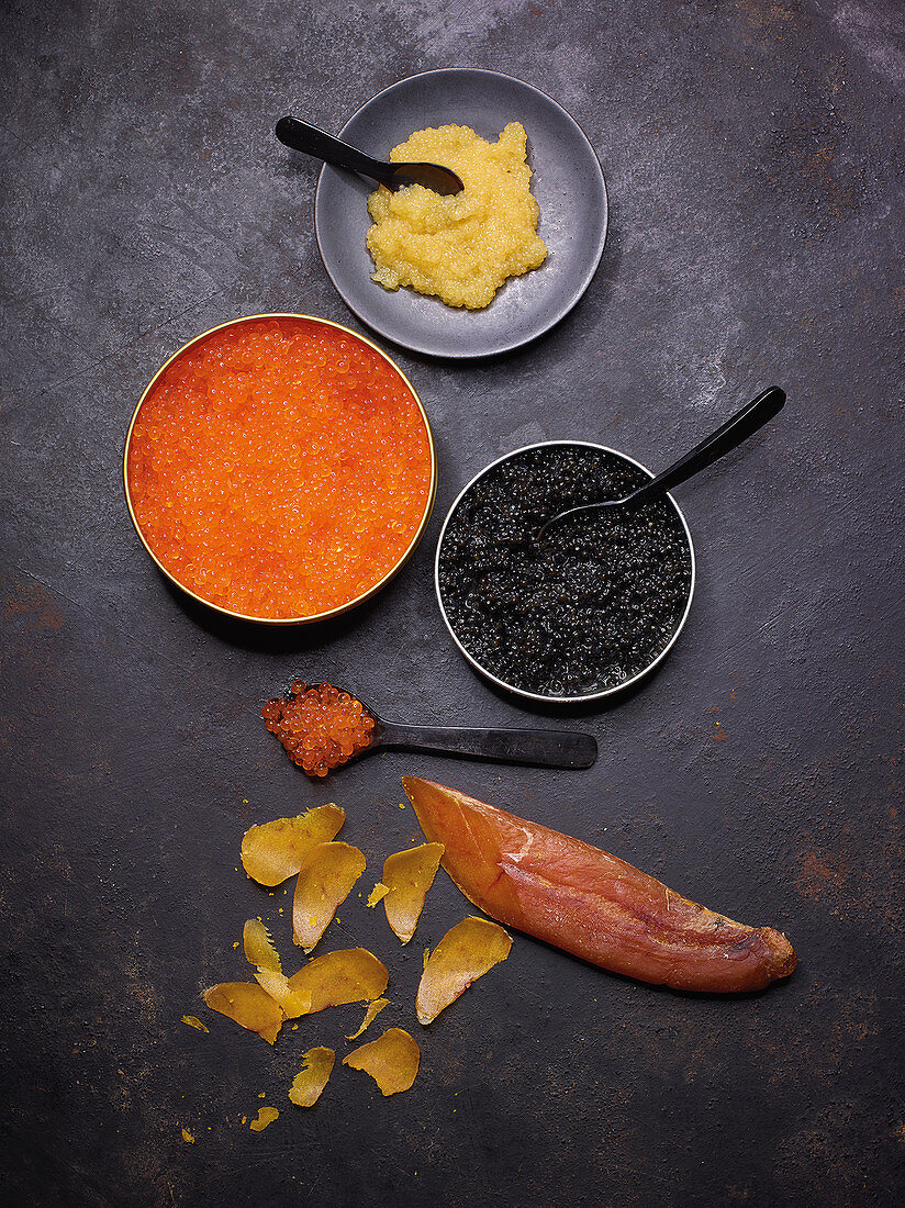 Different types of caviar and bottarga