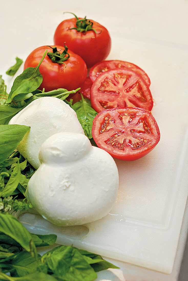 Ingredients for Caprese salad (tomato and buffalo mozzarella, Italy)