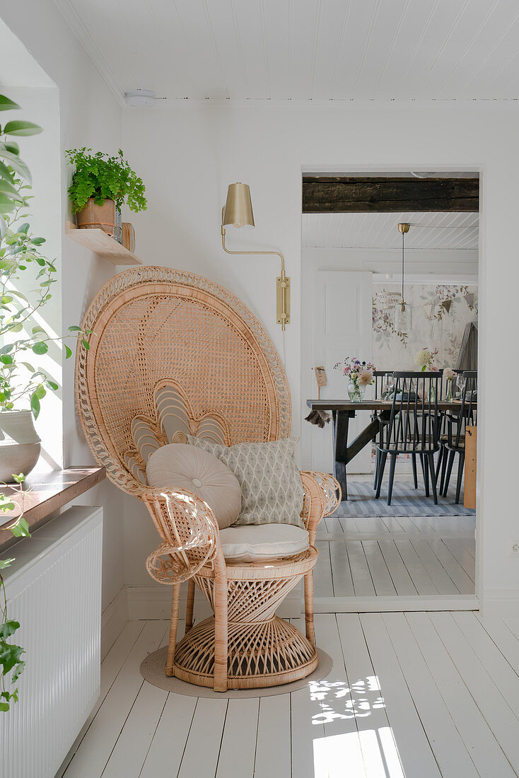 A rattan peacock armchair in a room with white floorboards