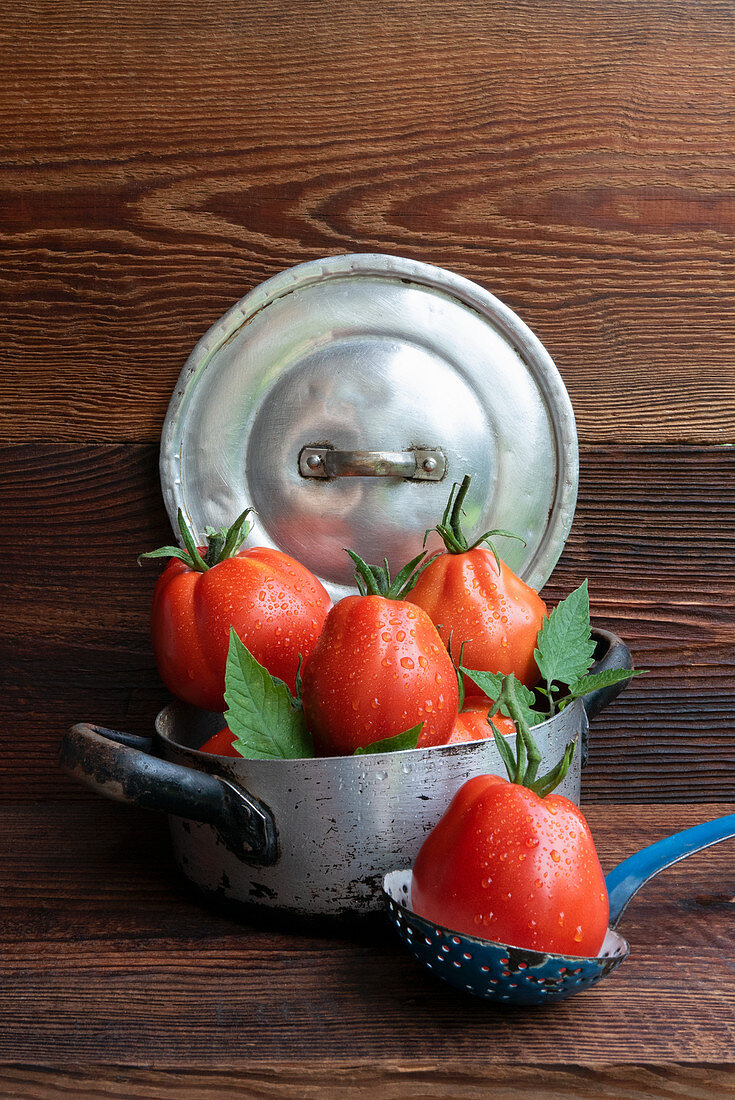 Tomatoes on the garden table