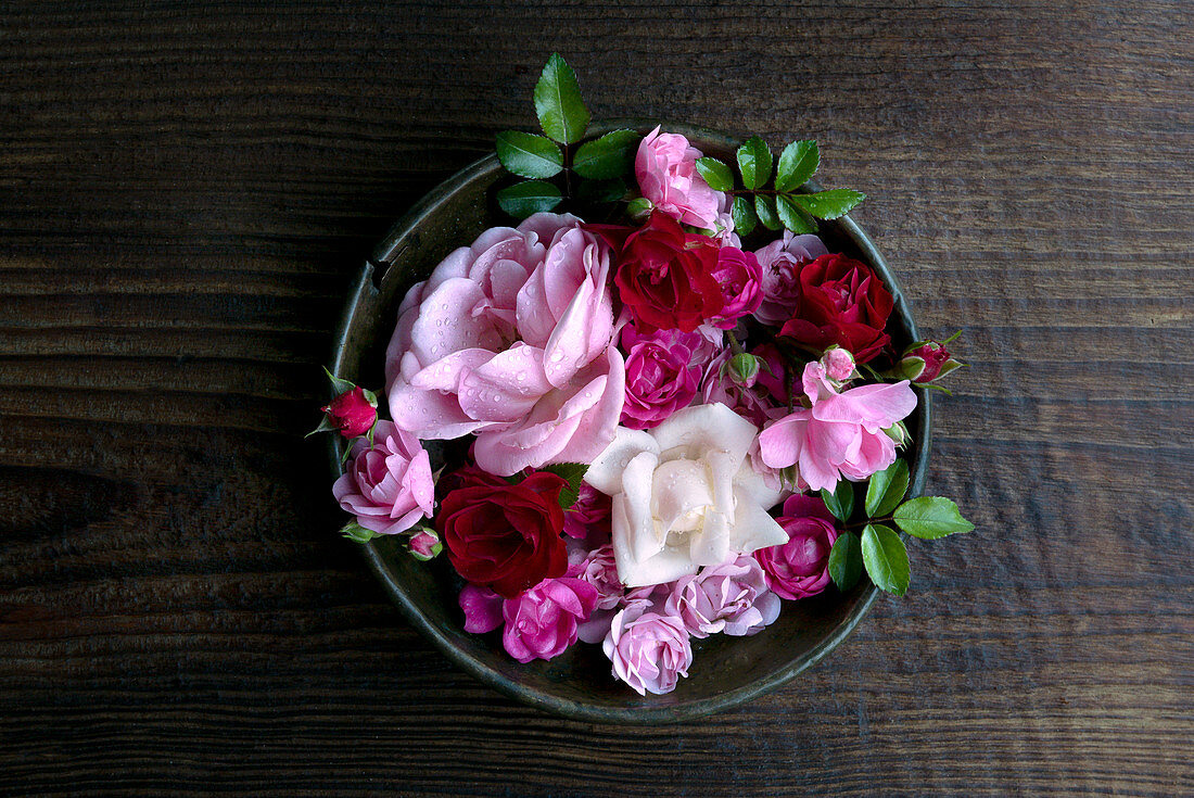 Pink roses on the rustic board