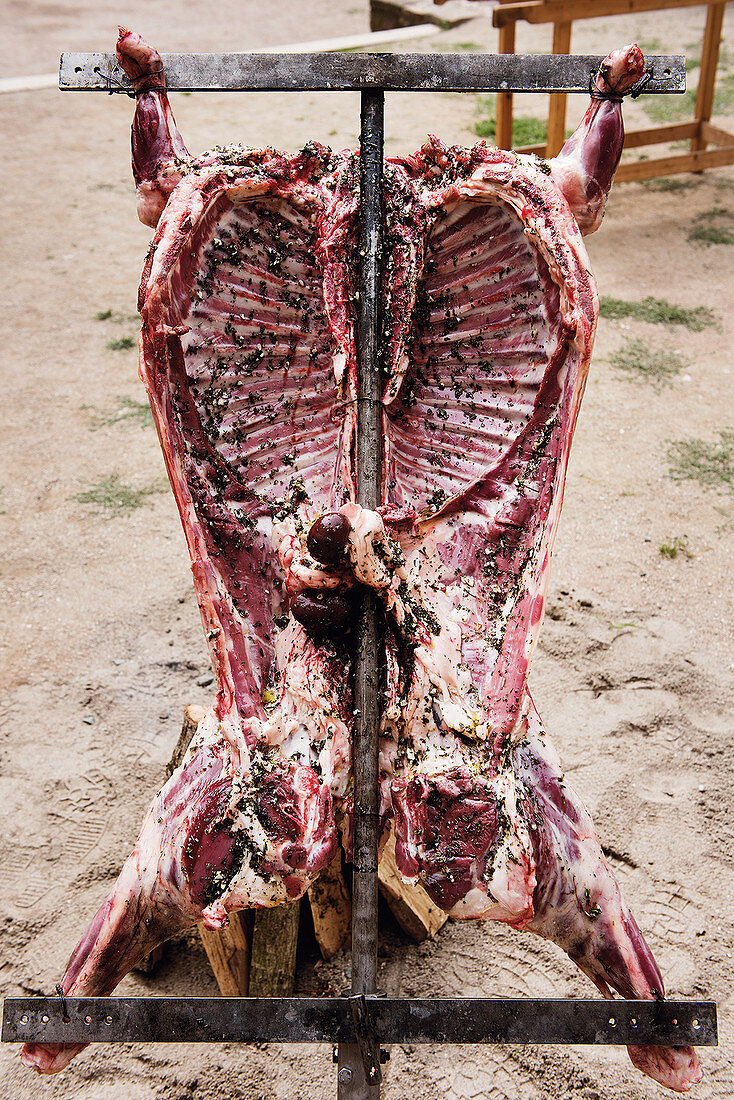 Asado-Vorbereitungen - Ganzes Lamm am Eisenkreuz grillen