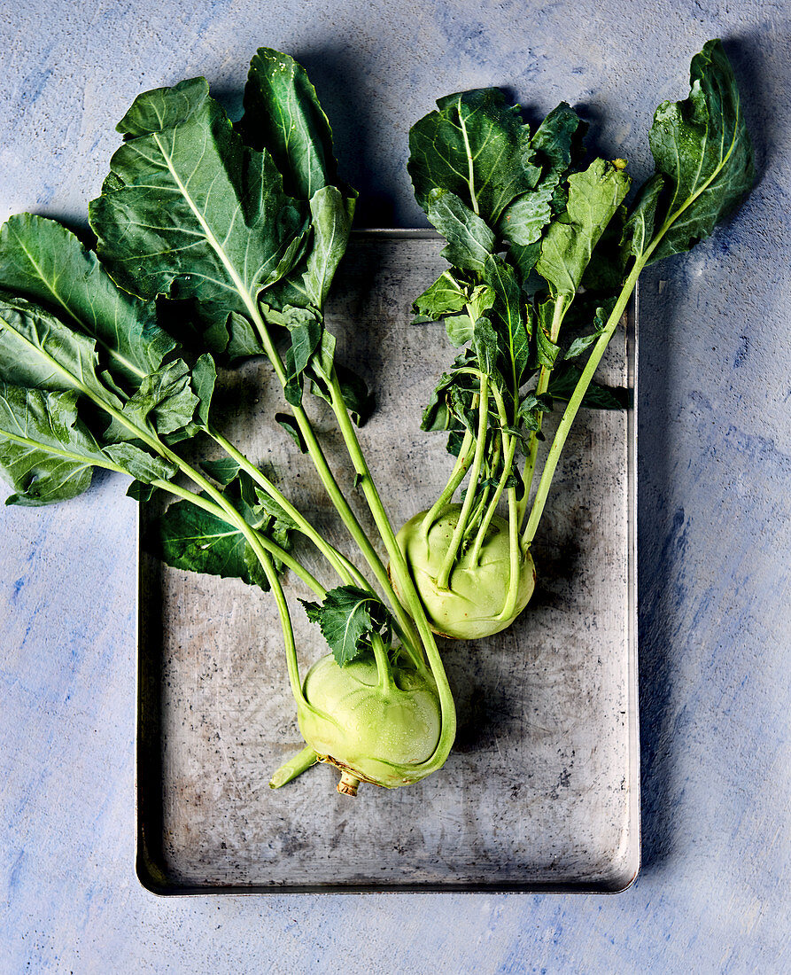 Frischer Kohlrabi auf Backblech