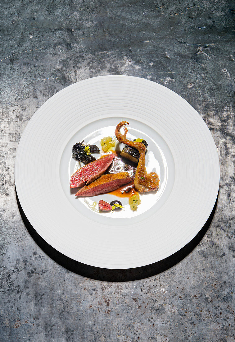 Pigeon with variations of celery and black garlic