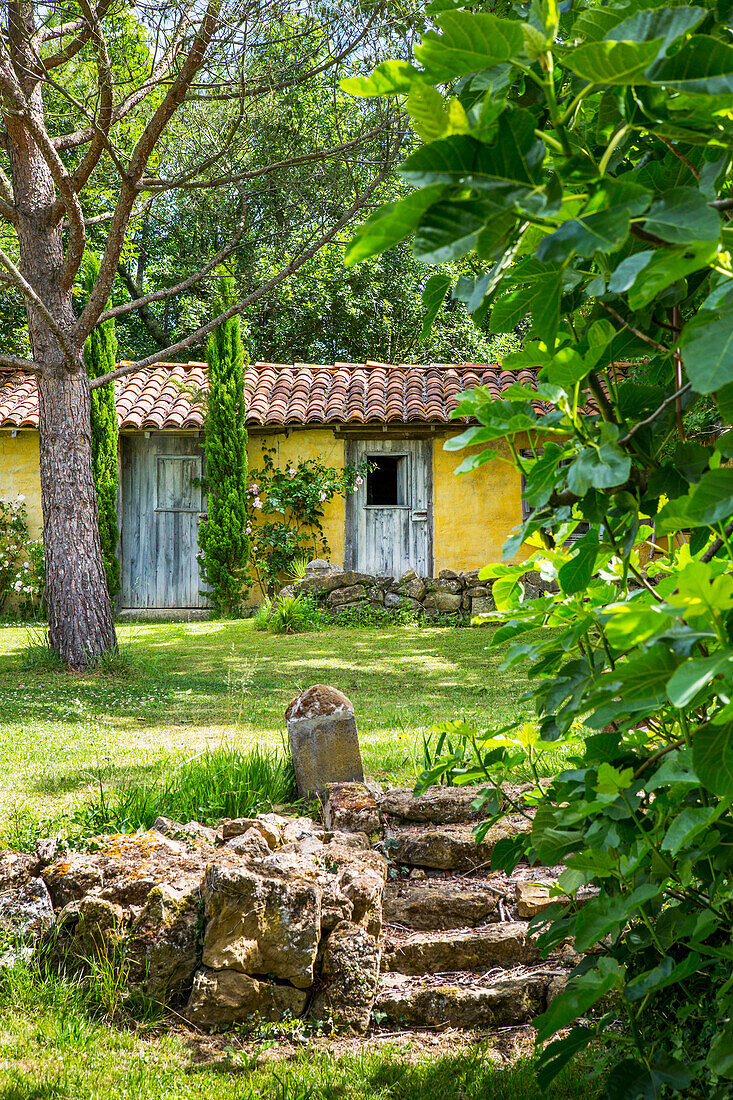 View from the garden to the outbuilding