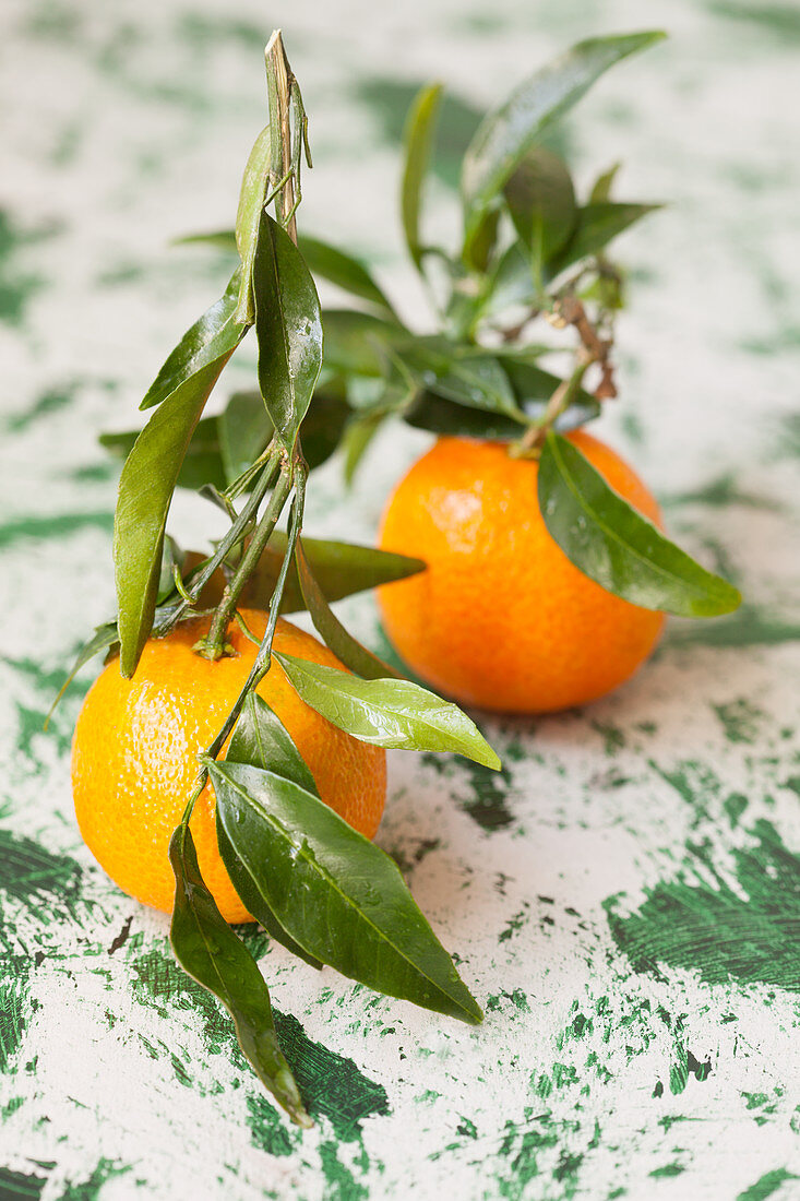 Mandarinen mit Blättern