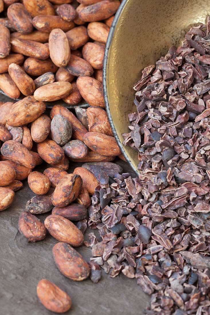 Cocoa nibs and cocoa beans