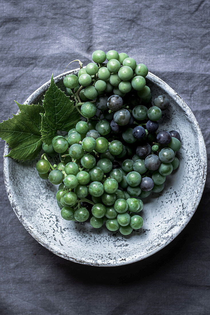 Garden grapes